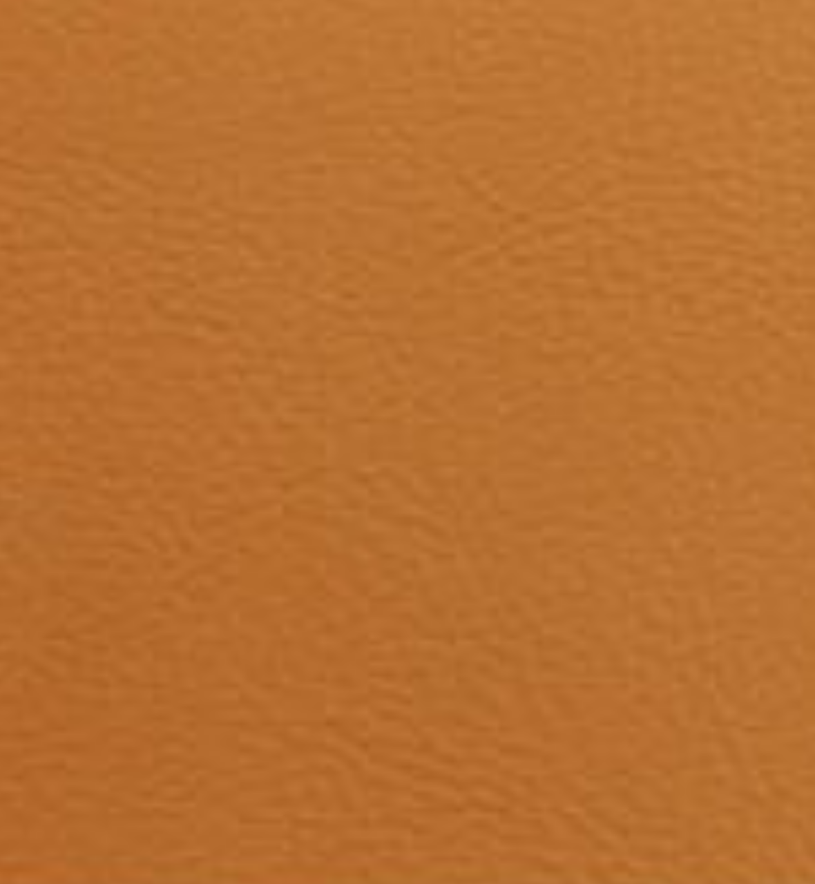 Maestro MAESTRO - Image 1