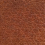 SAFARI
